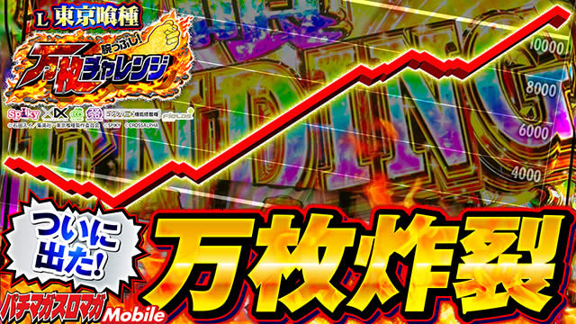 �r���Ղ�! �����`�������W�@L�������