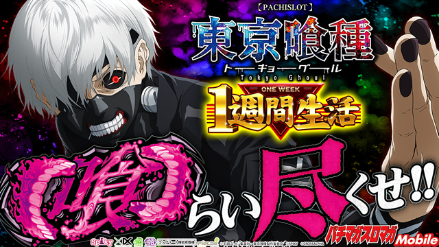 L�������@1�T�Ԑ���