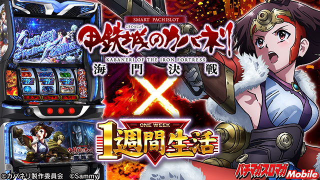 1�T�Ԑ��� �X�}�X�� �b�S��̃J�o�l�� �C�匈��