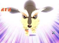 CRl肠ݕ--