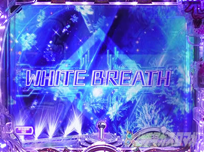 PX؁E̕P``BLACK DIVAɁ`bWHITE BREATH