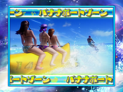 CR DEAD OR ALIVE  XTREME 259ver.