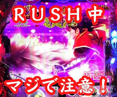 eԂ̌c` ꓁f w\ۗ RUSH]