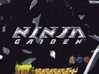 CR NINJA GAIDEN2