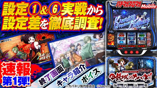 �X�}�X���b�S��̃J�o�l���C��(���Ȃ�)����@�ݒ�@���E����l��O���r