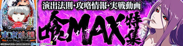 e������� ��MAX���W