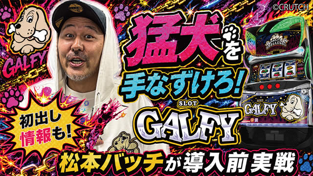 LB�X���b�gGALFY�@�����O���퓮��